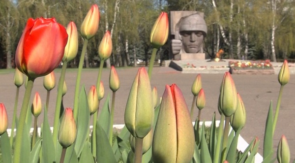 Более 100 мероприятий предполагается провести в Коломне на майские праздники