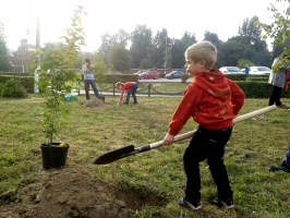В Коломне в очередной раз пройдет акция "Посади свое дерево!"
