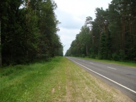 В Московской области продолжается очистка лесов вдоль автомагистралей