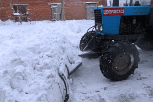 Выпавший снег в Луховицах использовали для хранения саженцев