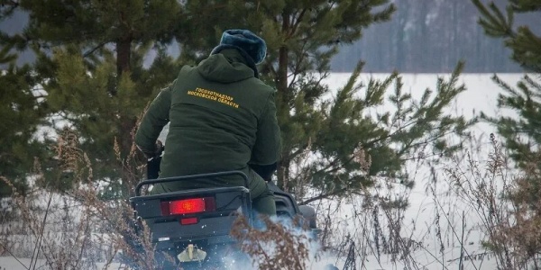 Инспекторы госохотнадзора подсчитают охотничьи ресурсы Подмосковья