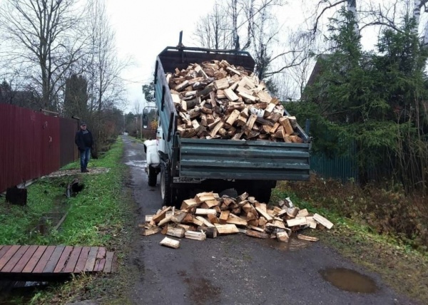 С начала года жители Подмосковья подали 351 заявку на заготовку дров