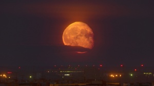 Жители московского региона смогут увидеть самую большую Луну 2016 года в следующий понедельник