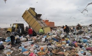 В Подмосковье могут появиться 15 мусоросжигательных заводов