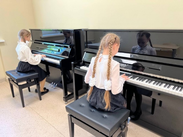 Новые музыкальные инструменты получили коломенские детские школы искусств