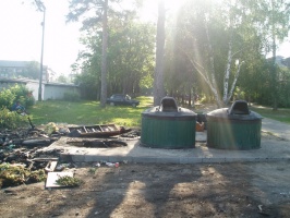 В День России в Коломне подожгли два мусорных контейнера