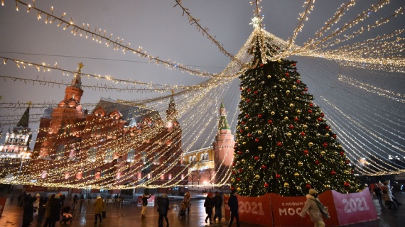 90‑летнее дерево из Подмосковья станет главной новогодней елкой России