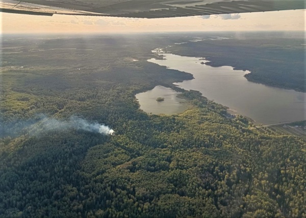 В Егорьевске ликвидировали пожар в лесу