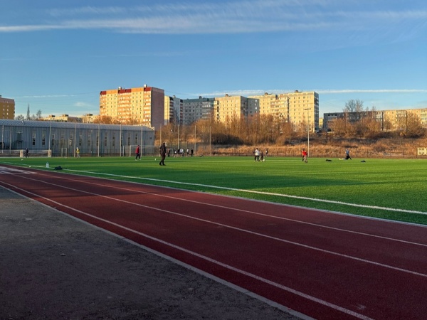Мастер спорта России по футболу посетит детский фестиваль в Луховицах