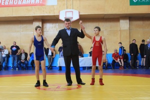 Коломенцы взяли 11 медалей на турнире МО по греко-римской борьбе