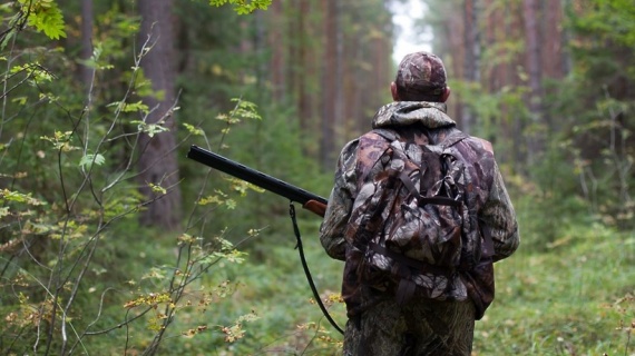 Изменены сроки подачи заявлений на охотничьи разрешения