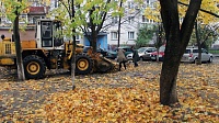 Уборка листвы – в любую погоду