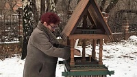 В помощь зимующим птицам