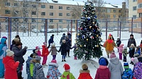 Сотрудники МЦ "Выбор" на каникулах организовали новогодние представления в коломенских дворах (ФОТО)