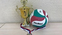 Спортсмены ФОКИ "Спектр" завоевали медали по волейболу сидя