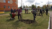 В Егорьевске заложили аллею ветеранов комсомола