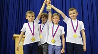 Коломенские шахматисты завоевали золотую и серебряную медали