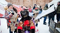 Фестиваль необычных саней "Battle Сани" прошёл в Коломне