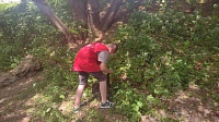 Добровольцы "Союза Волонтёров Коломны" убрали мусор на территории Репинских прудов