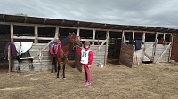 Областной чемпионат по конному спорту проходит на зарайской земле (ФОТО И ВИДЕО)