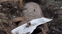 Жительница Щурова  недалеко от леса нашла цистерну с маслянистой жидкостью
