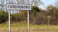 120 гектаров борщевика в Коломне поливают "химией"