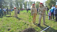 Коломенцы посадили свои деревья
