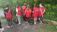 Добровольцы "Союза Волонтёров Коломны" убрали мусор на территории Репинских прудов