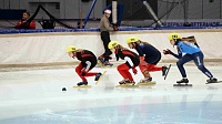 В рамках этапа спартакиады юные конькобежцы соревновались в Коломне в дисциплине "шорт-трек" (ФОТО)