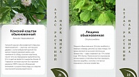 Библиотекари подготовили "Атлас растений городского парка города Коломны"